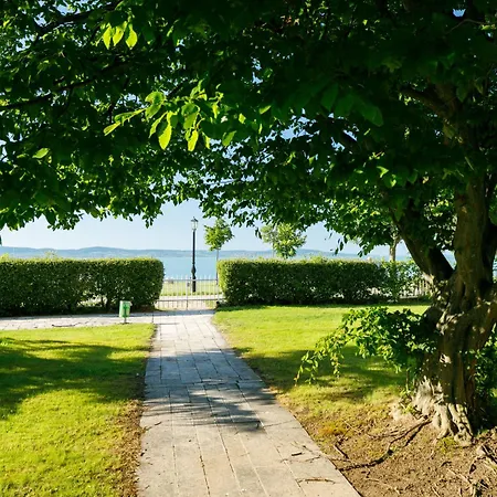 Zamia 1 By Interhome זמראדי