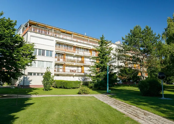 Zamia 1 By Interhome