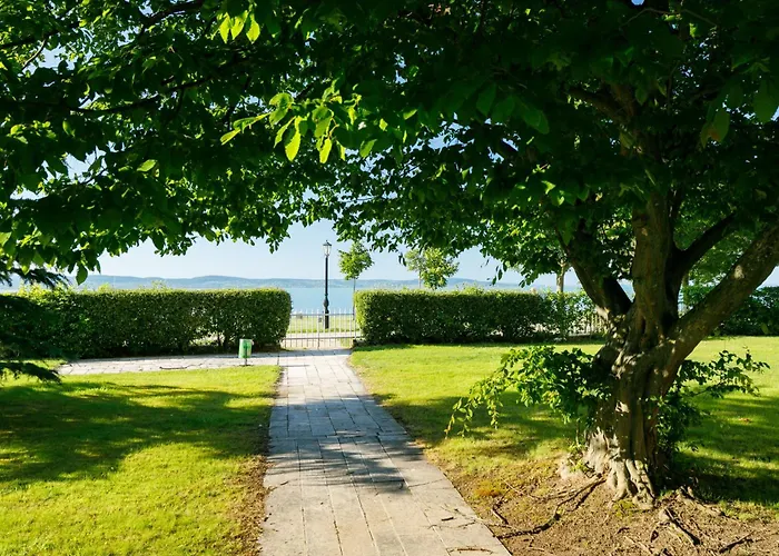 Zamia 1 By Interhome זמראדי